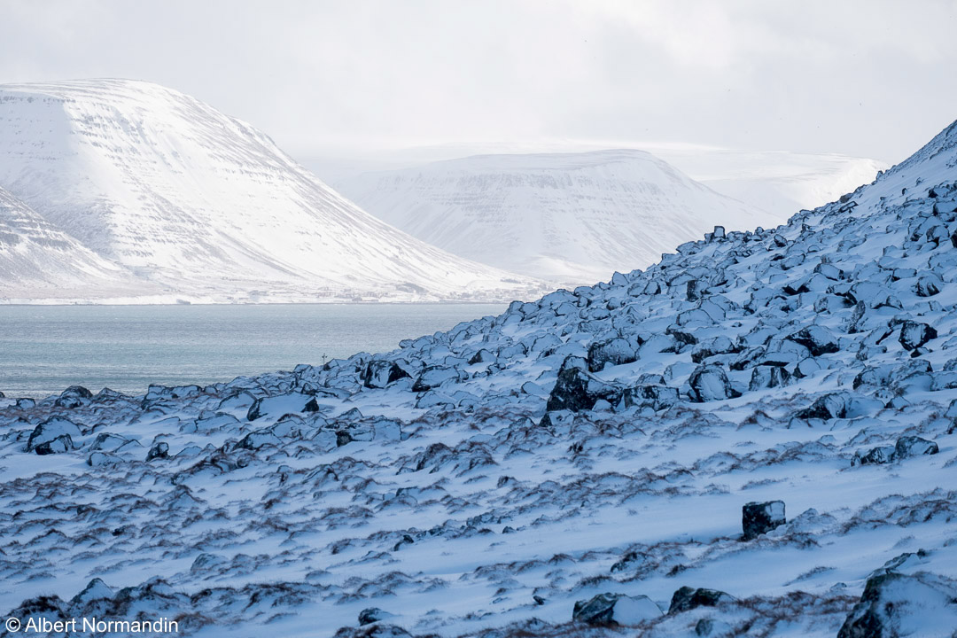 Travel iceland adventure weather Landscape wild outdoors winter extra extreme