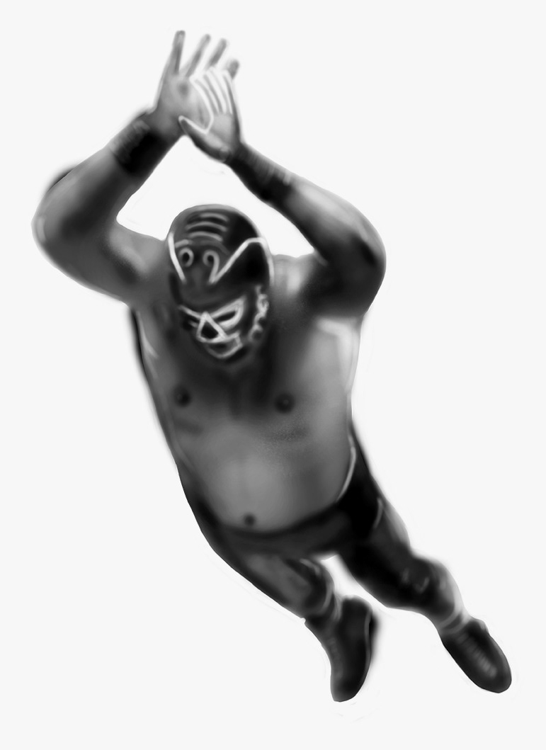 Wrestling poster Mexican design ilustration