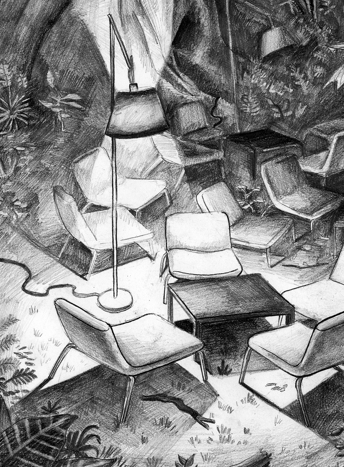 Drawing  hybrid spaces Nature jungle library conflict political humor light