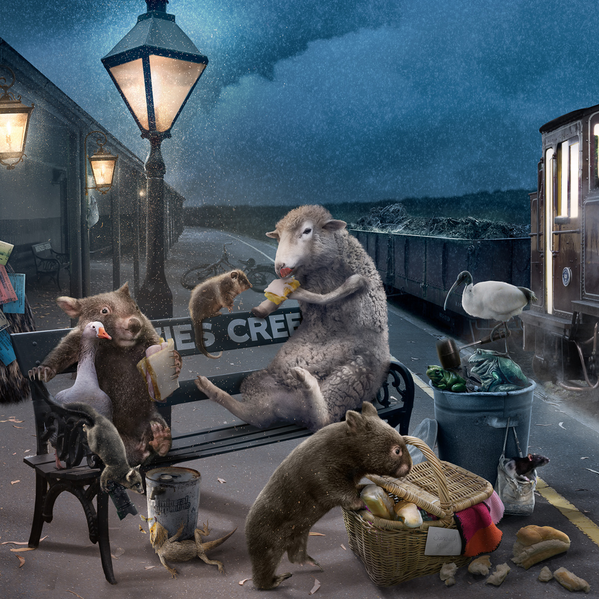 animals aussie Digital Art Idioms photoshop puns sayings straya strine