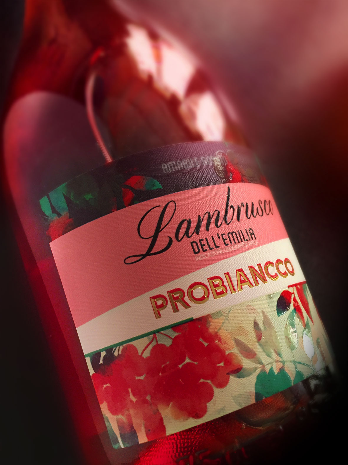 vino wine diseño packaging lambrusco vino italiano italia rosado dell'emilia vespa Pizza