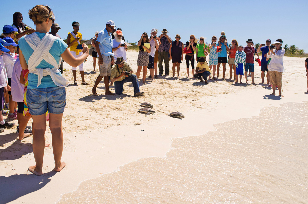 Ecology Nature conservation turks and caicos