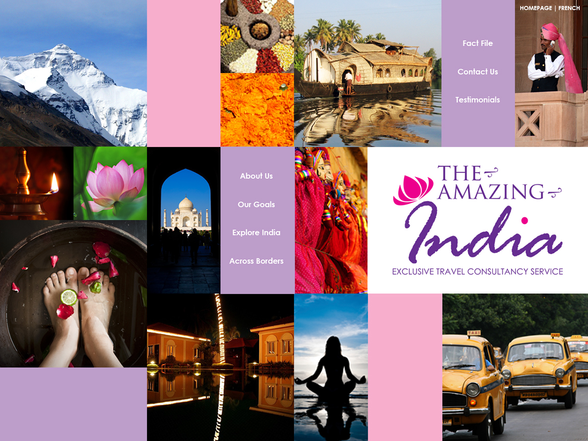 Website Design logo India elegant amazing