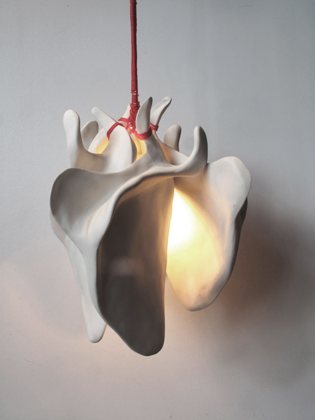 porcelain bone human Scapula   Shoulderblade   Lamp light pendant cast delicate elinbrita elin brita raw