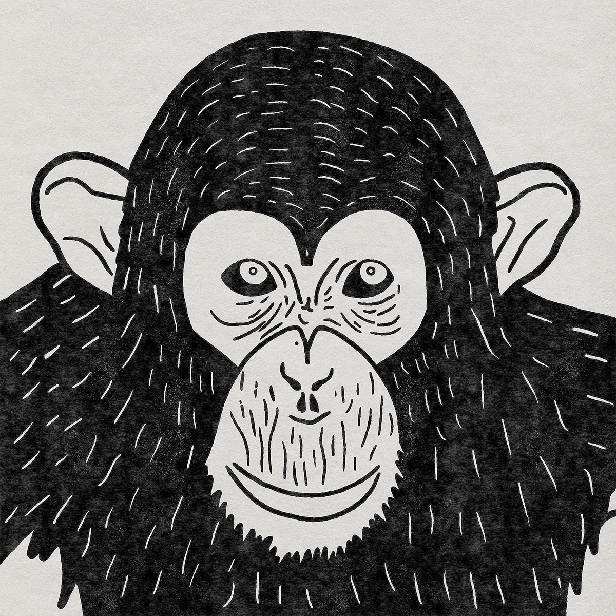 Aarav SwatiManish animal apple pencil black and white chimp chimpanzee iPad monkey wildlife
