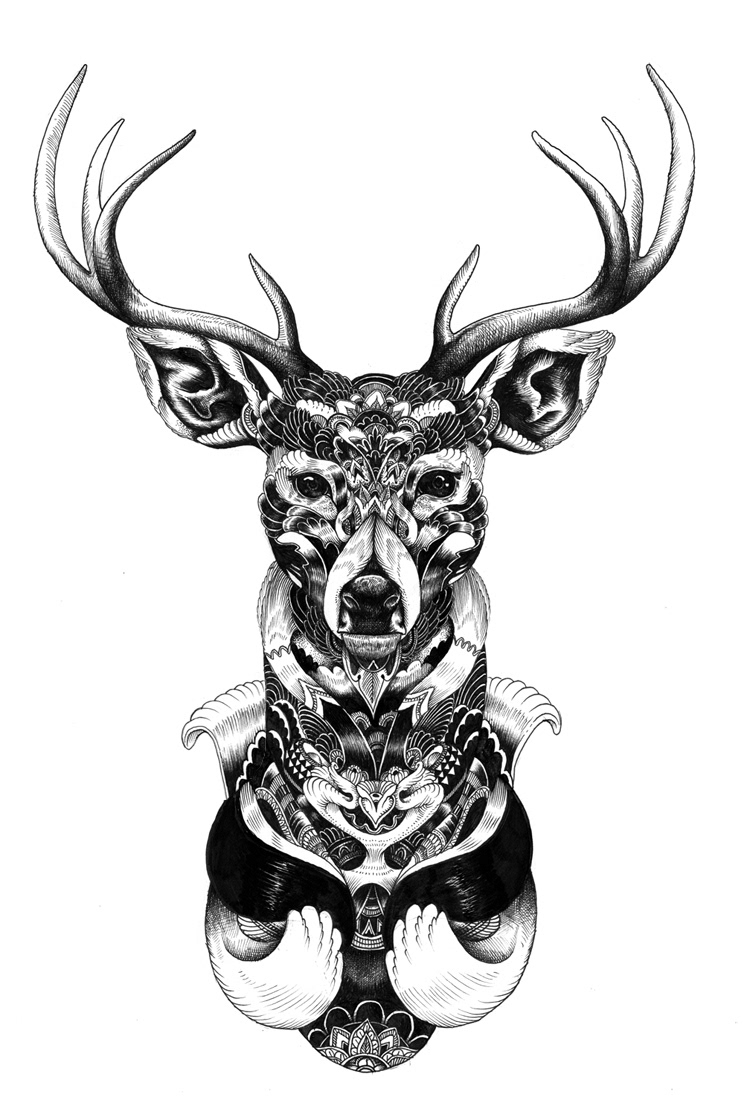 Iain Macarthur Draw draw Iain MacArthur deer fine art pencil face je suis tellement Beau