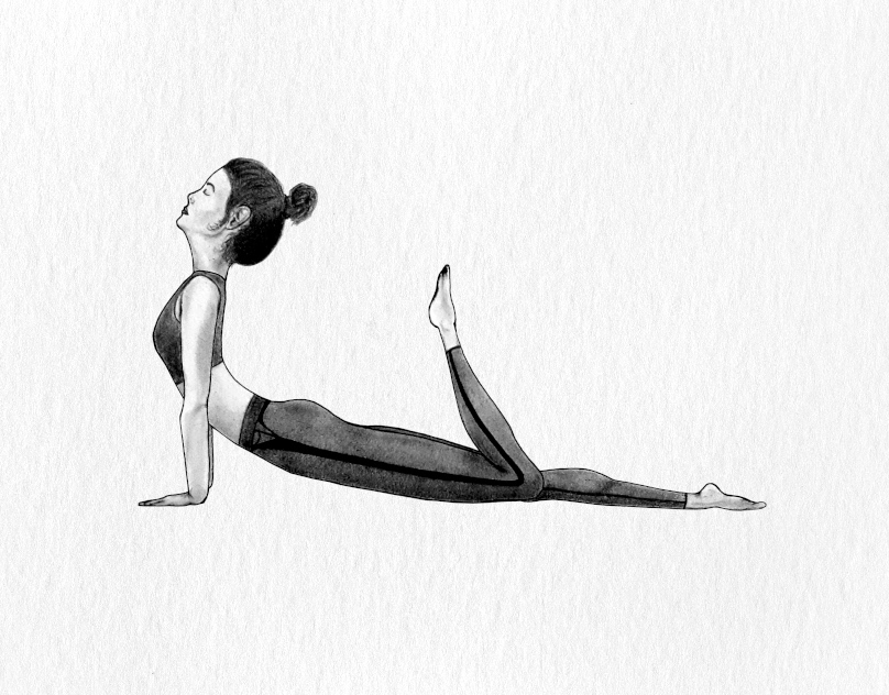 Yoga drawing of Bhujangasana cobra pose. Yoga illustration, yoga art. yoga asana.