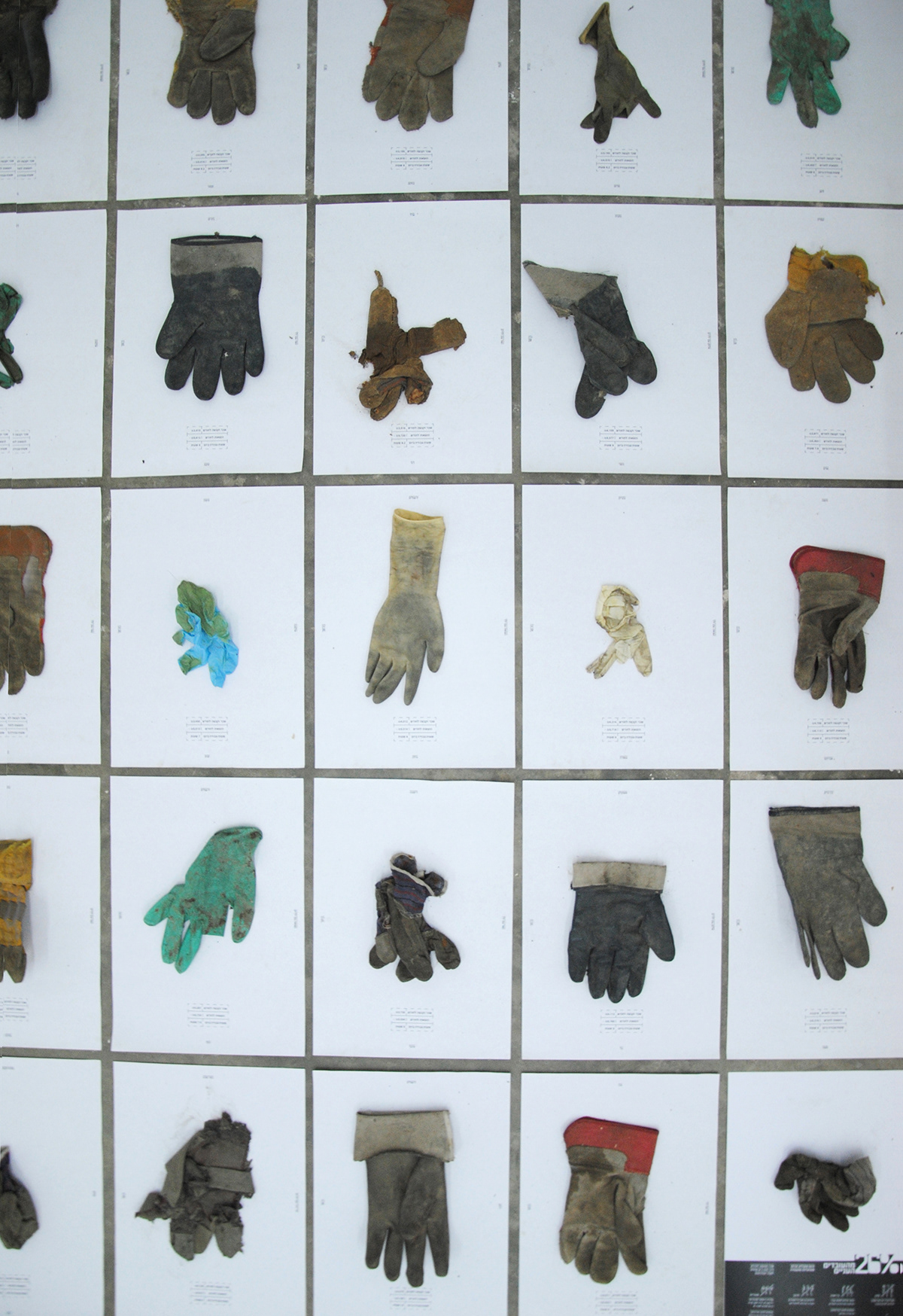 "Lechem-Avoda" (means work's outcome): The project is focusing on Israeli workers found Below the poverty line. The project displays 100 gloves where each one presents once percent. The gloves put in order by the working conditions and cost of living difficulties. At each group's side