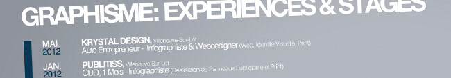 KrysBrzezinski Krys Brzezinski Infographist Webdesign webdesigner artistic director directeur artistique CV Infographist CV Webdesign cv design CV
