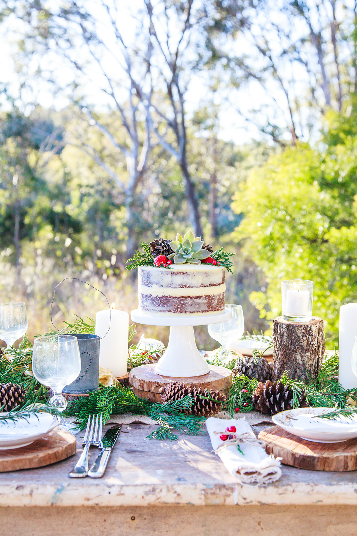 rustic Christmas tablescape Outdoor Paddock wedding Naked Cake natural setting