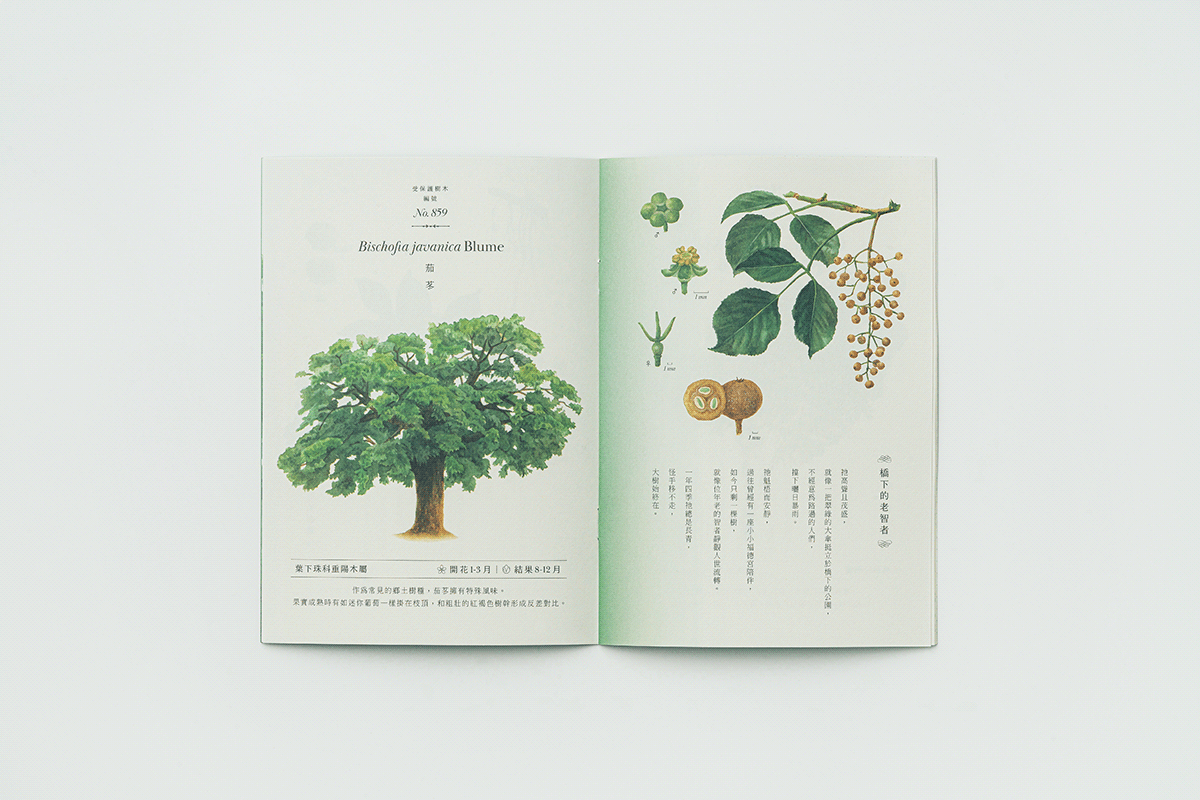 book book design botanical illustration ILLUSTRATION  Tree  插畫 文化銀行 書籍設計  植物 樹木