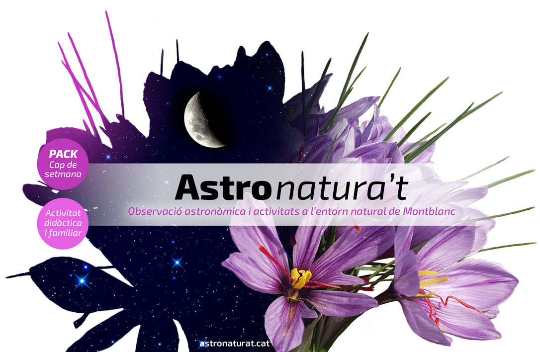 Nature Astrology tourism moon stars SKY Space  trees saffron lavender White purple blue green