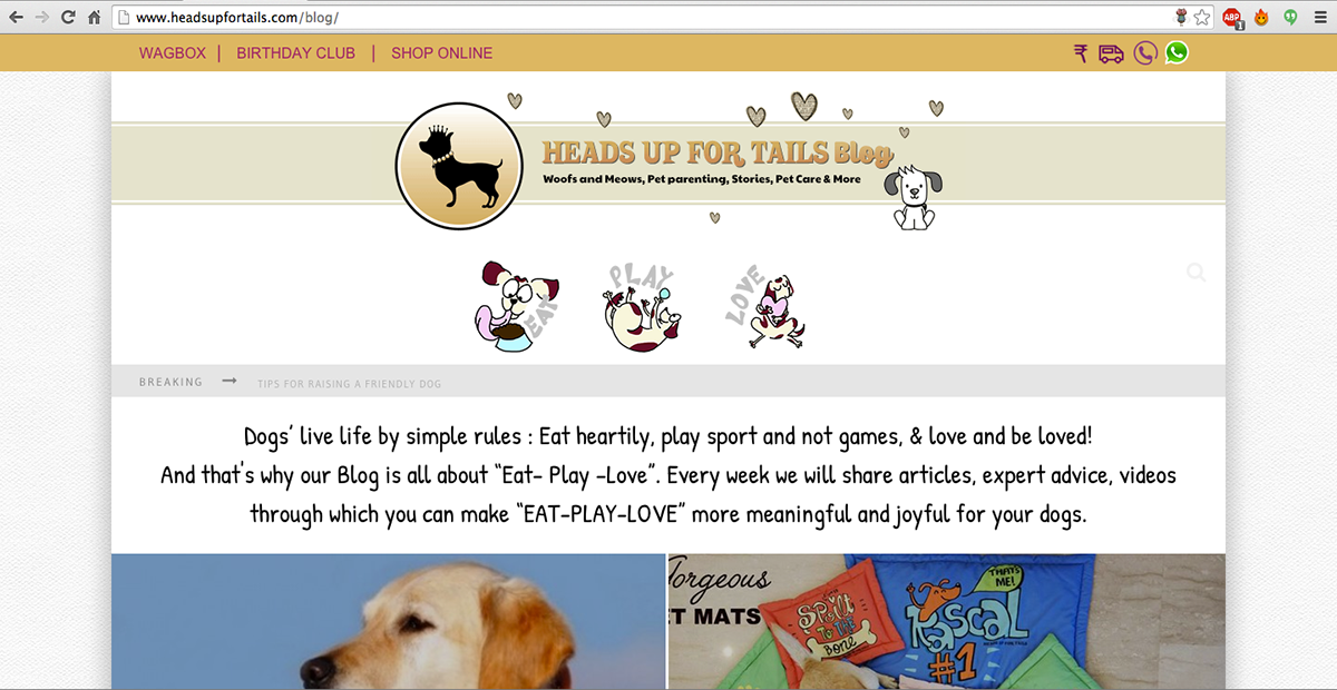 #Eat #Play #love #blog   #icons #icon #headsupfortails #dog #doglovers #dogaccessories #dogs
