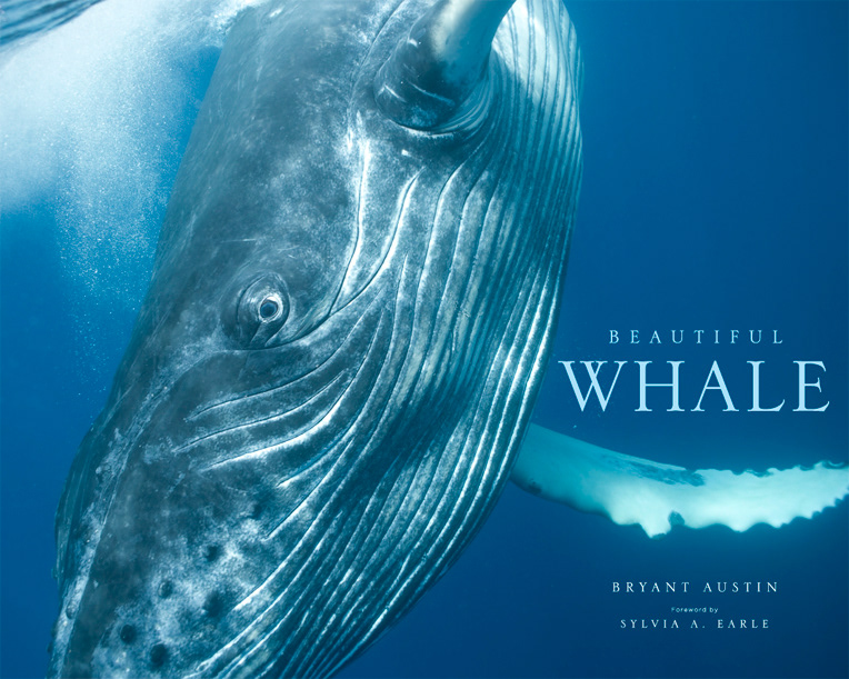 Whale Photography Book
