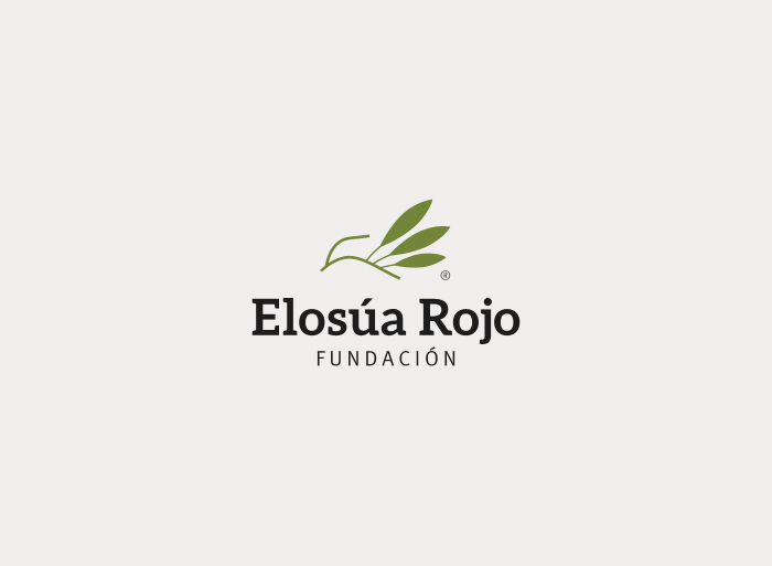 fundacion foundation Elosúa Rojo dove olive tree Tree  green