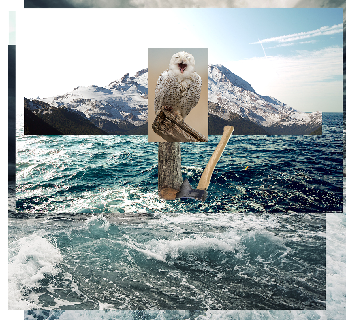 owl king people cover art sexy sea water Cat hipsters cool mega top photoshop universe