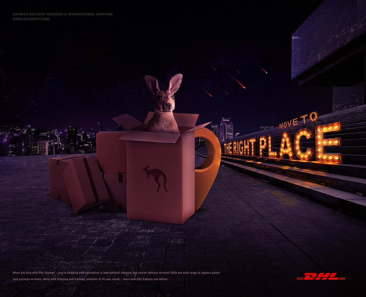 DHL delivery egypt Egyptian Designer Photo Manipulation  cardboard kangaroo Night mood creative lights