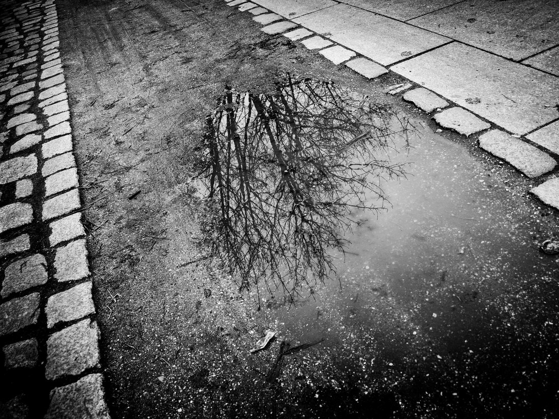 berlin black and white reflections