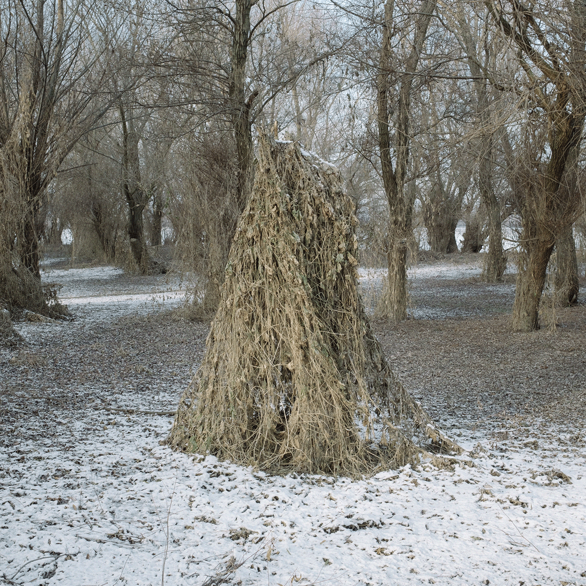 bulgaria exploracion fine art forest Landscape minimal Nature Photography  Travel winter