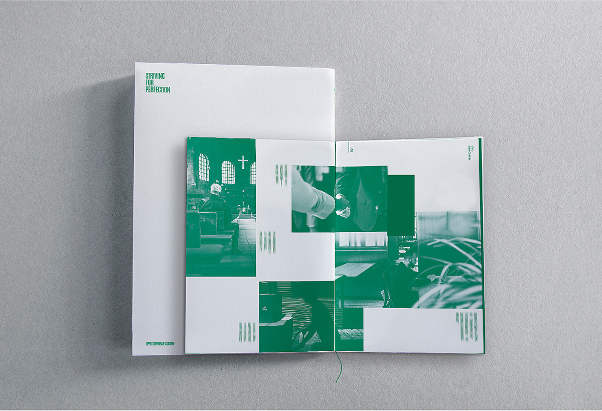 graphic brochure book editorial magazine Layout typography   企业手册 画册 书籍