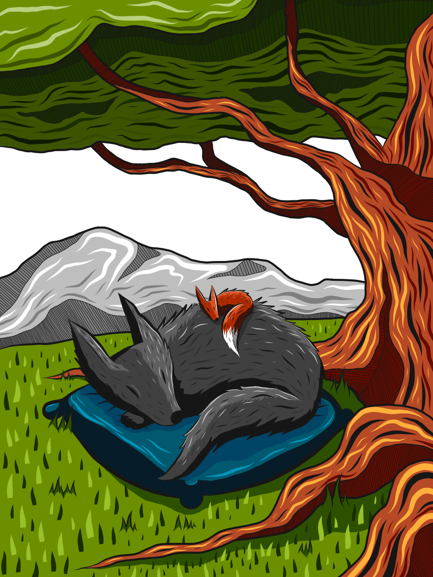 wolf FOX vector Dreaming sleeping colour ILLUSTRATION 