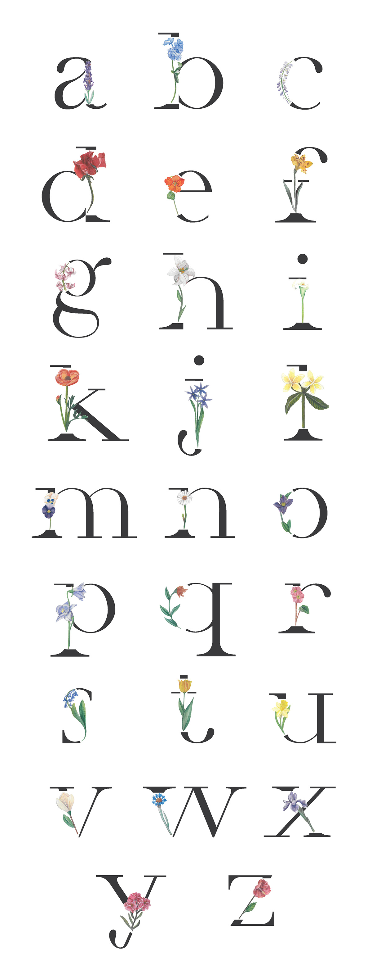 Flowers serif