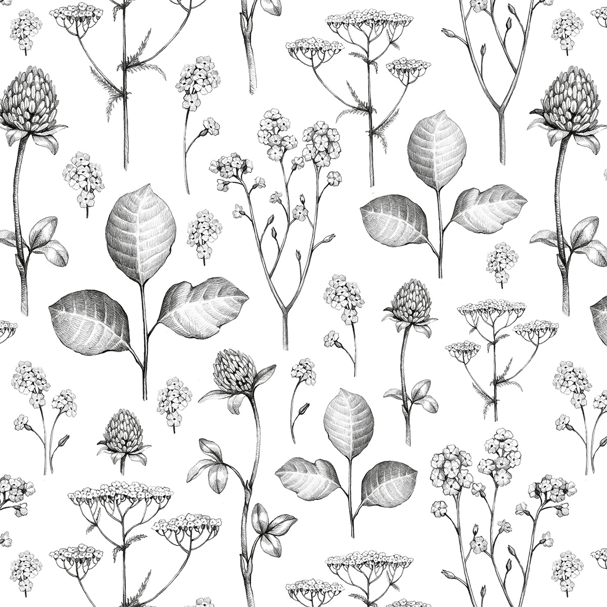 pattern design  textile design  hand drawn Pencil drawing seamless pattern wild Nature Herb