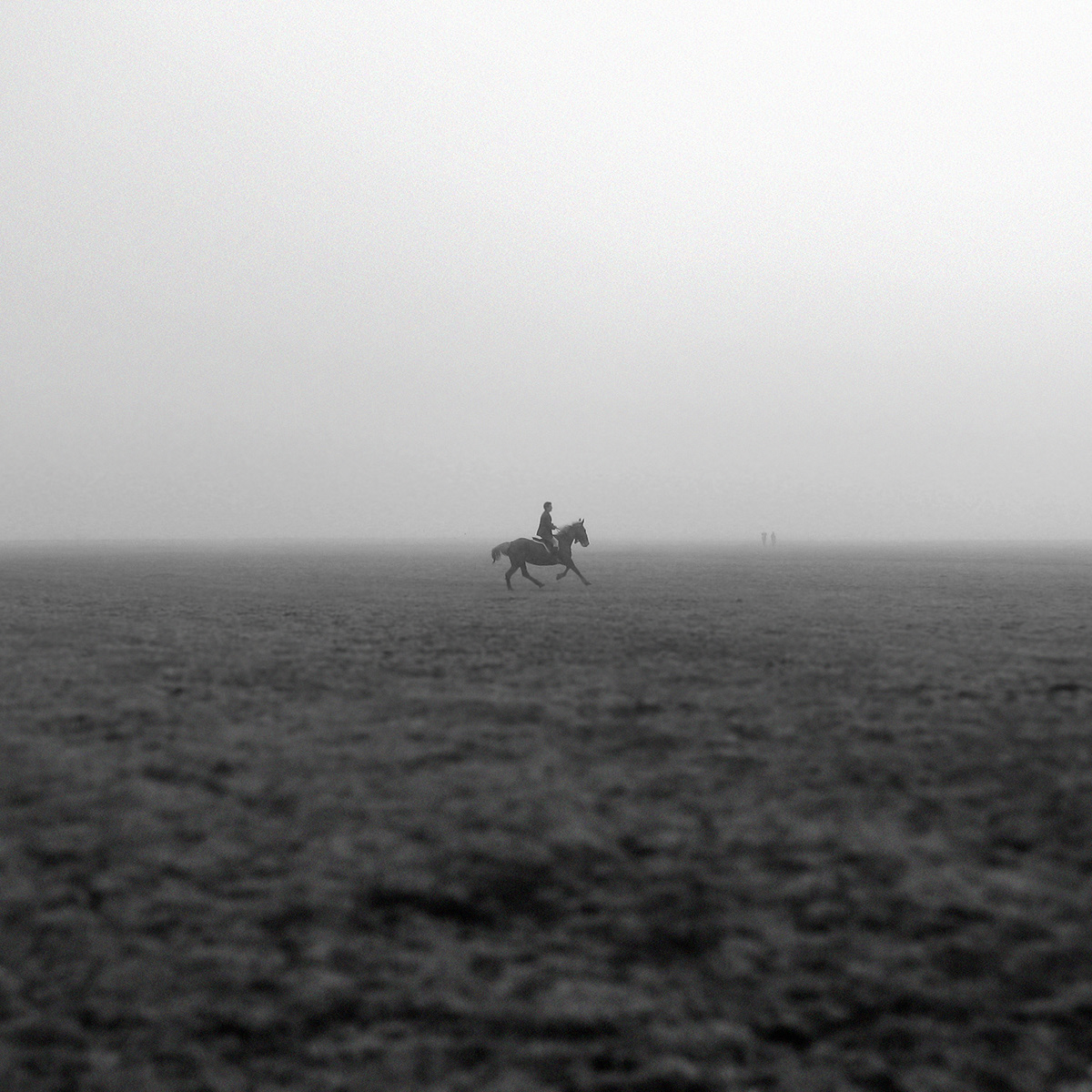 fog photograph