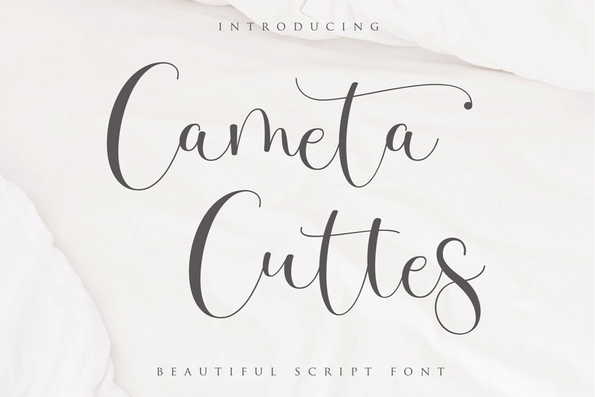 Beauty Script branding  Calligraphy   font Invitation lovely script product Script wedding