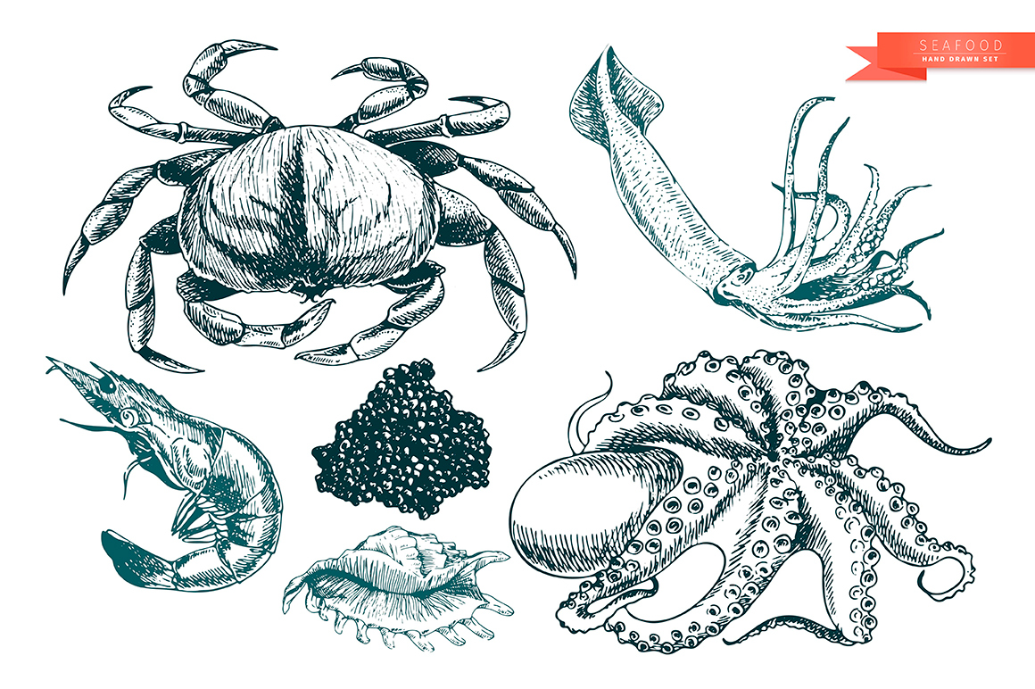 seafood restaurant branding  identity sketch art design hand drawn engraved