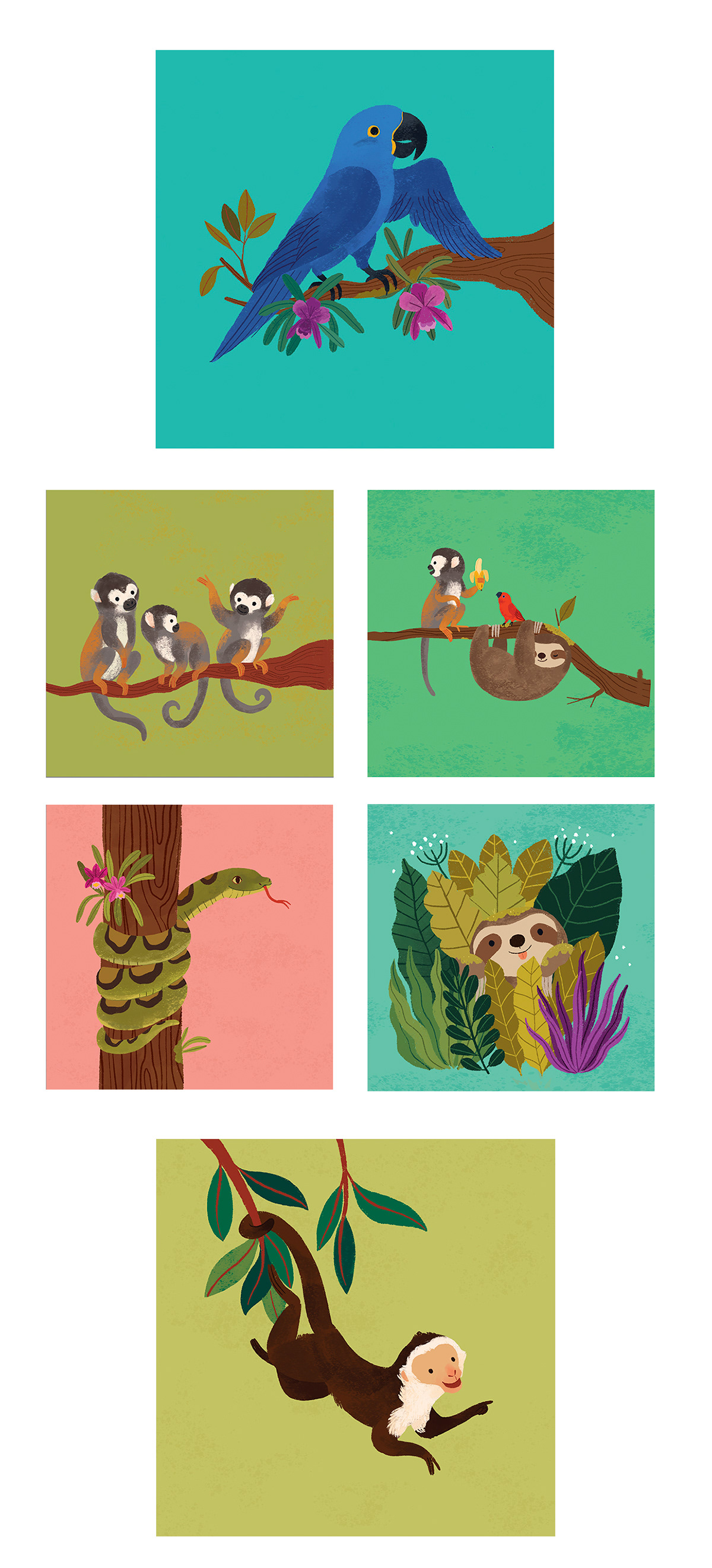 animals book children illustration manumontoya parrot sloth