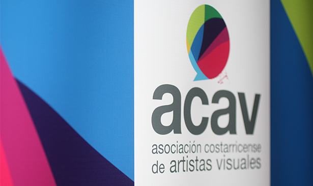acav visual arts  visual artist
