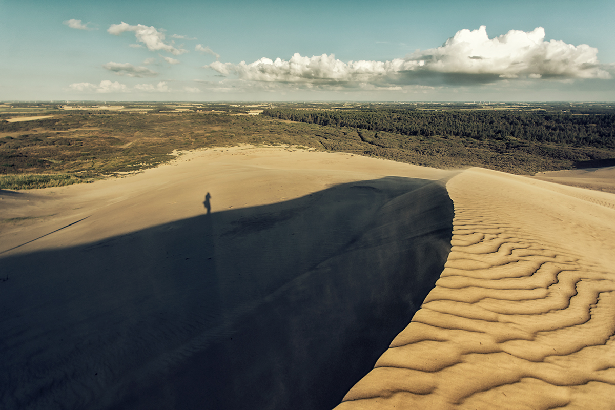 Landscape Nature denmark Europe sand dunes sanddunes wind hill pattern desert black and white remote solitude Sun