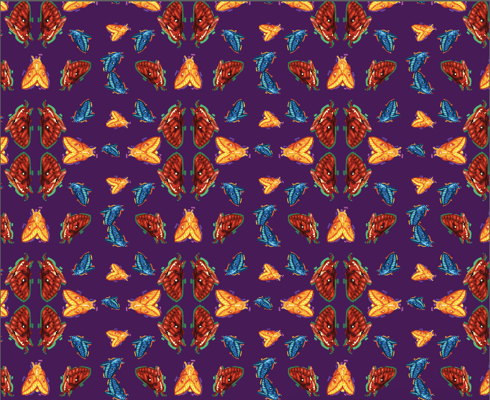 adobe design Illustrator moth pattern primary wallpaper