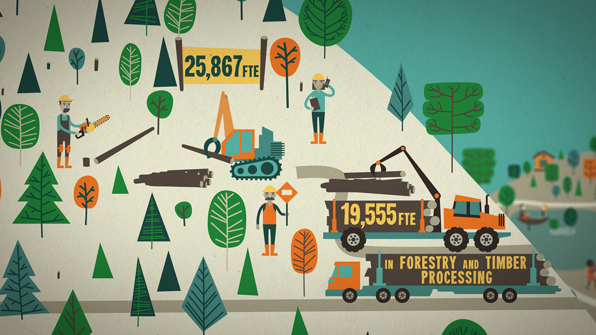 Animated explainer animated infographic 2D Animation forestry infographic