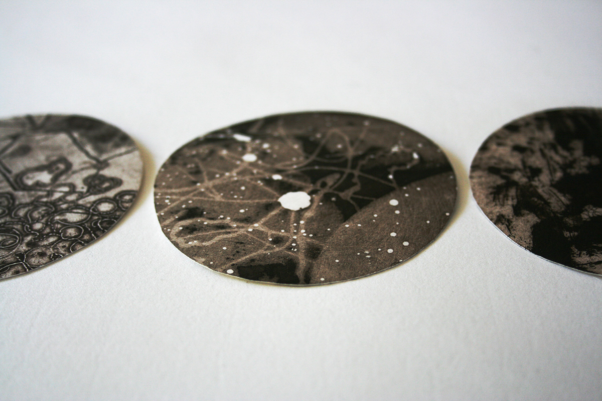 etching print making aquatint hardground softground organic Cell microscopic