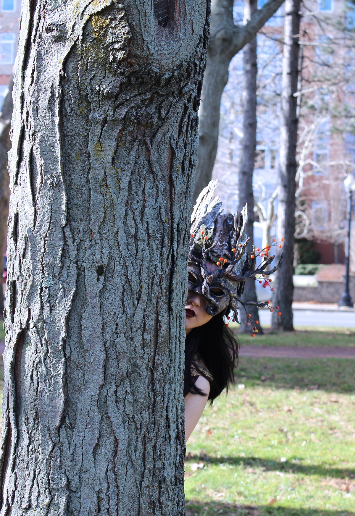 costume mask Tree  Nature tree bark bark wood Park Masquerade Venitien Mask spirit