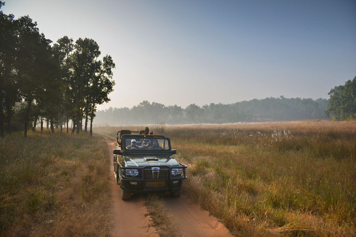 Travel samode Bandhavgarh madhya pradesh India wildlife safari