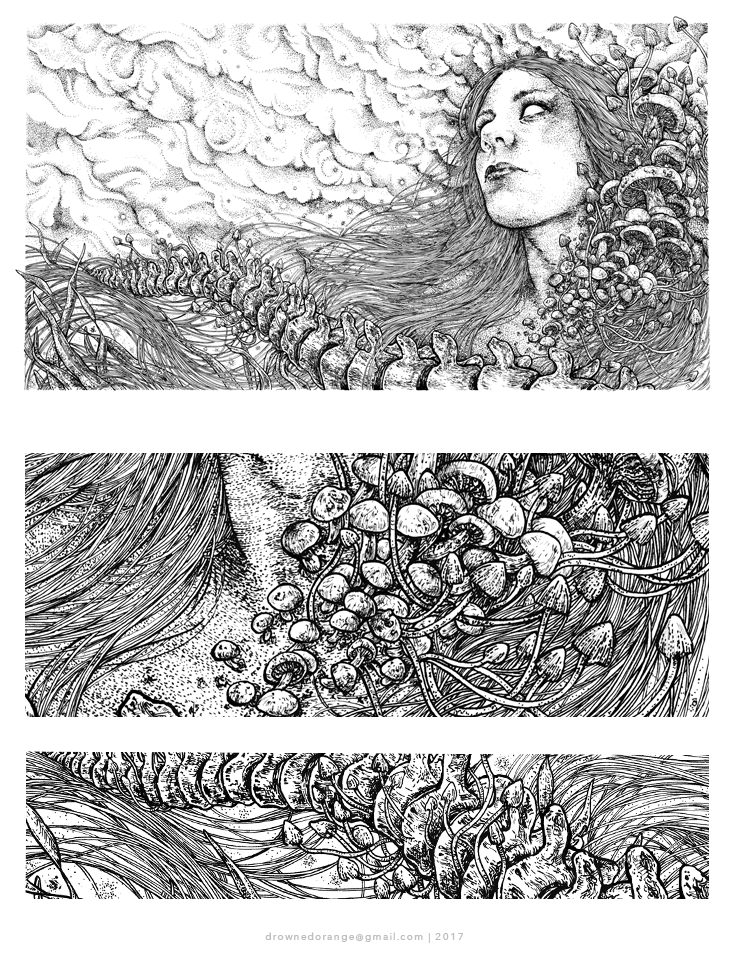 mushroom black White stoner rock ILLUSTRATION  Drawing  ink dotwork coverart