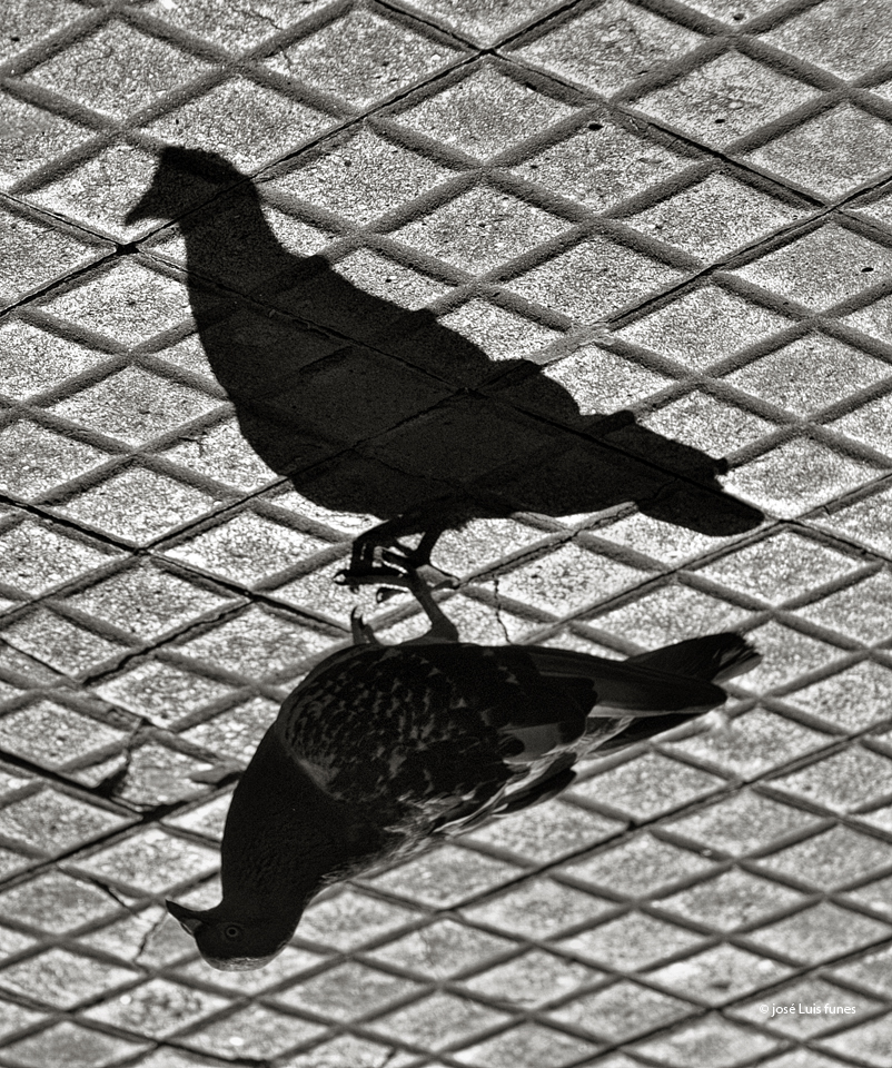 Fotografia arte fine art ilustracion editorial sombras Shadows buenos aires argentina photo blanco y negro black & white Fotografía Digital street photography