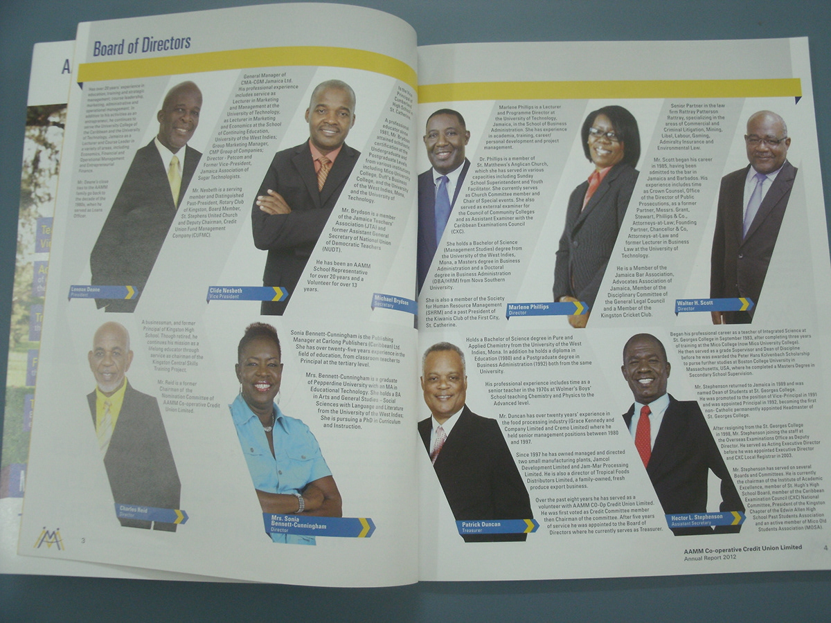 AAMM credit union annual report Layout editorial