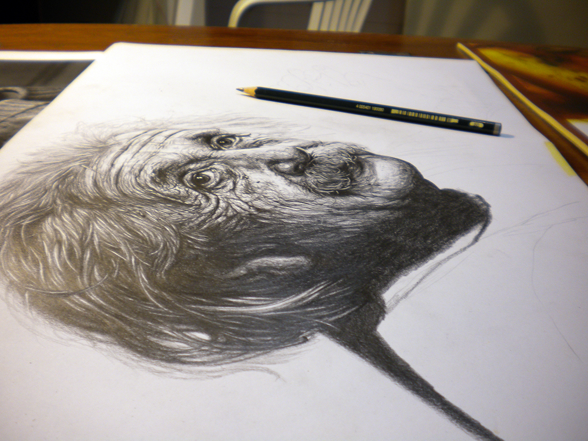 einstein sketch draw pencil