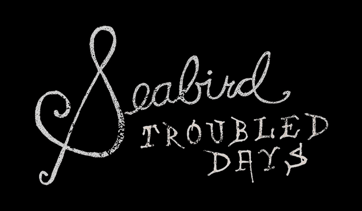 seabird troubled days matthew Dugger Album vinyl cd mugshot Australian vintage