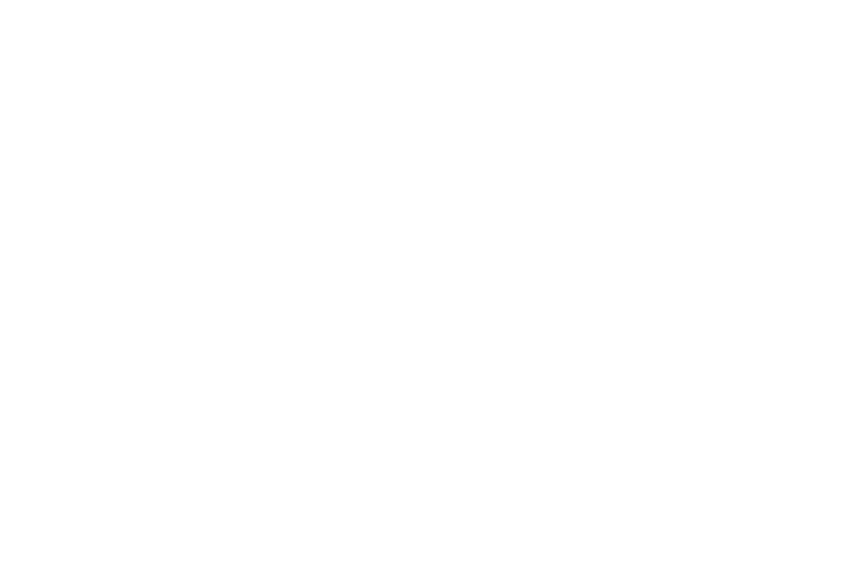 lettering type logo Logotype james lewis  vector copperplate calligraphic typographic instagram HAND LETTERING