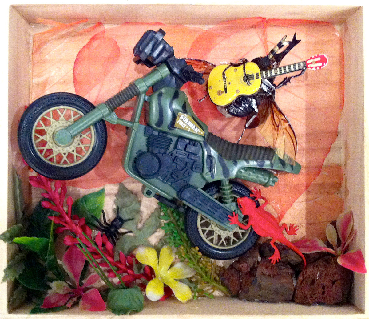 beetles  insects  shadowbox rock  narrative  found objects  sculpture  3d  stop motion