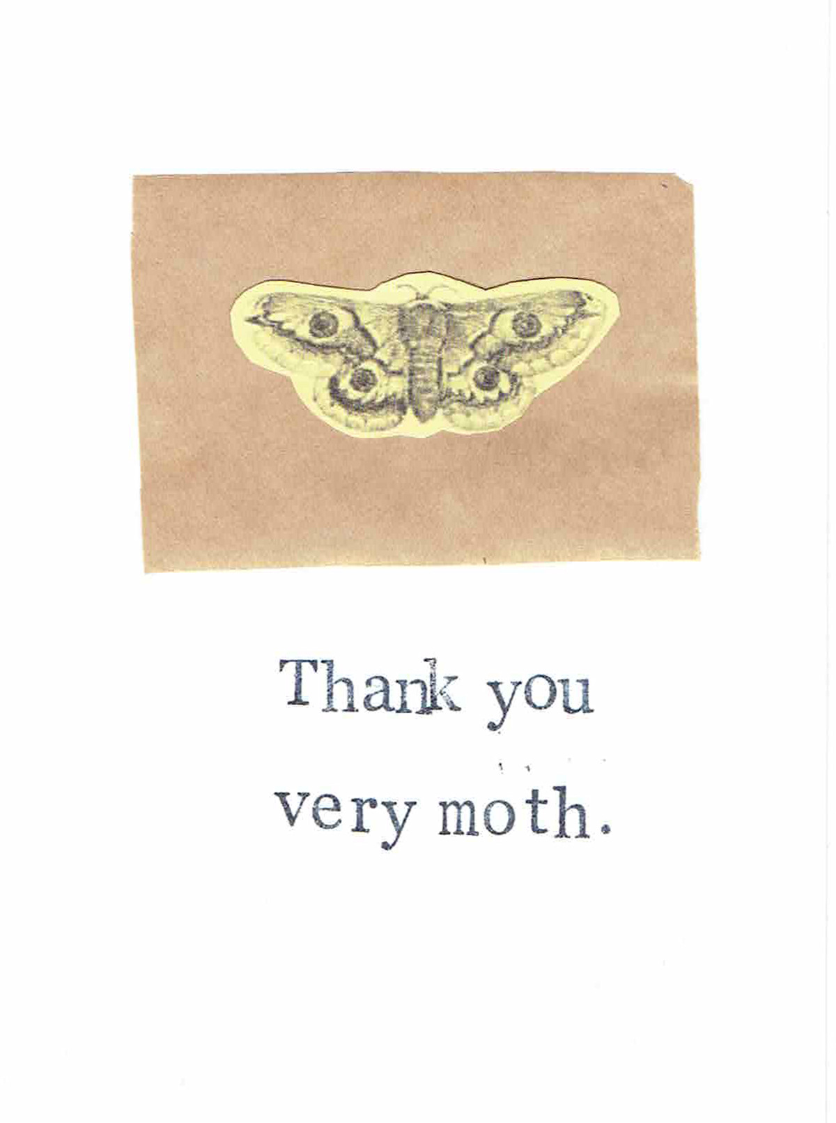 natural history biology science funny humor Victorian STEAMPUNK Nature animals etsy greeting cards cards Birthday collage Stationery