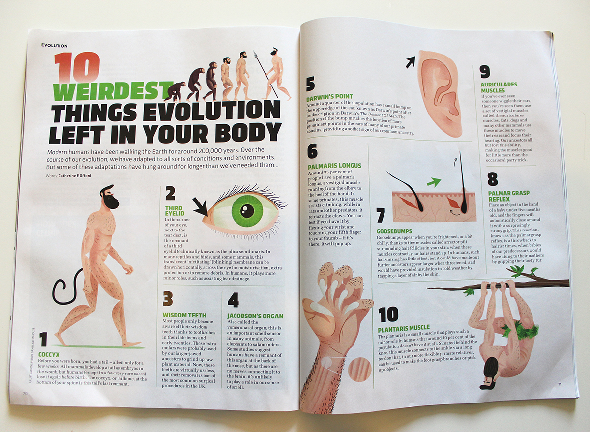 evolution human editorial monkey magazine article print