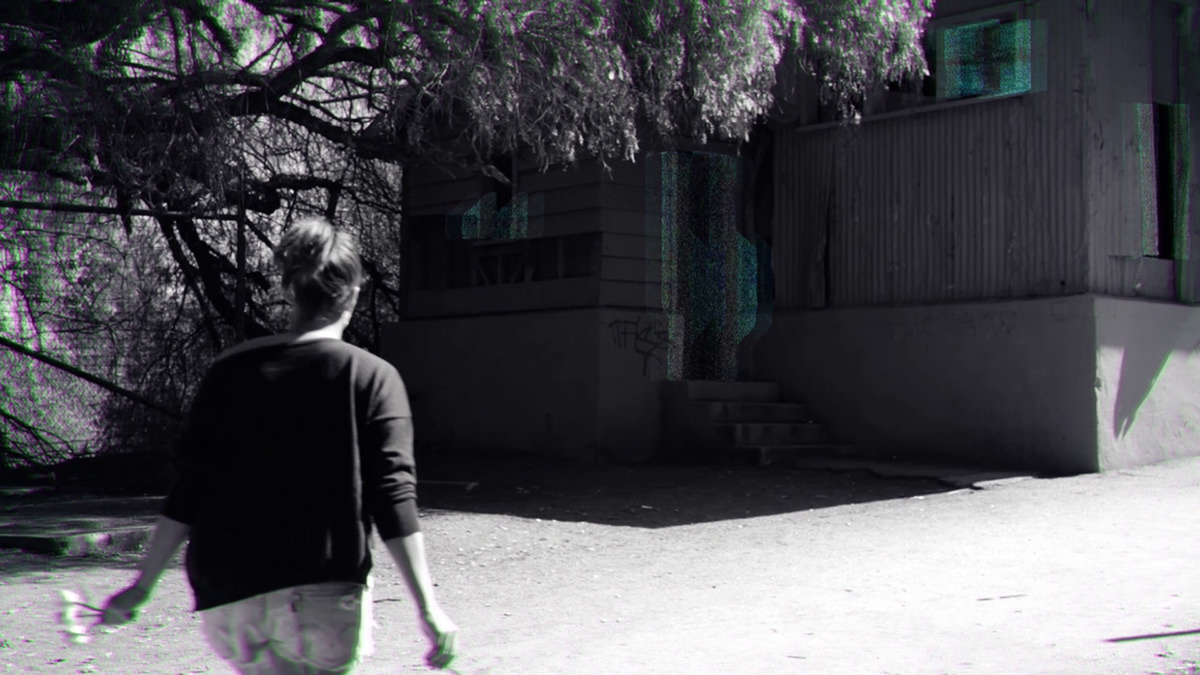 Canon 550D markiii 5D after effects ash lendzion Final cut Pro Los angeles black and white surreal