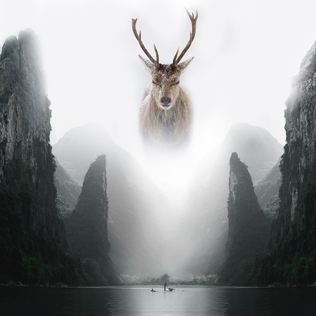 adobe animation  deer Fisherman photoshop surrealism visual Whale
