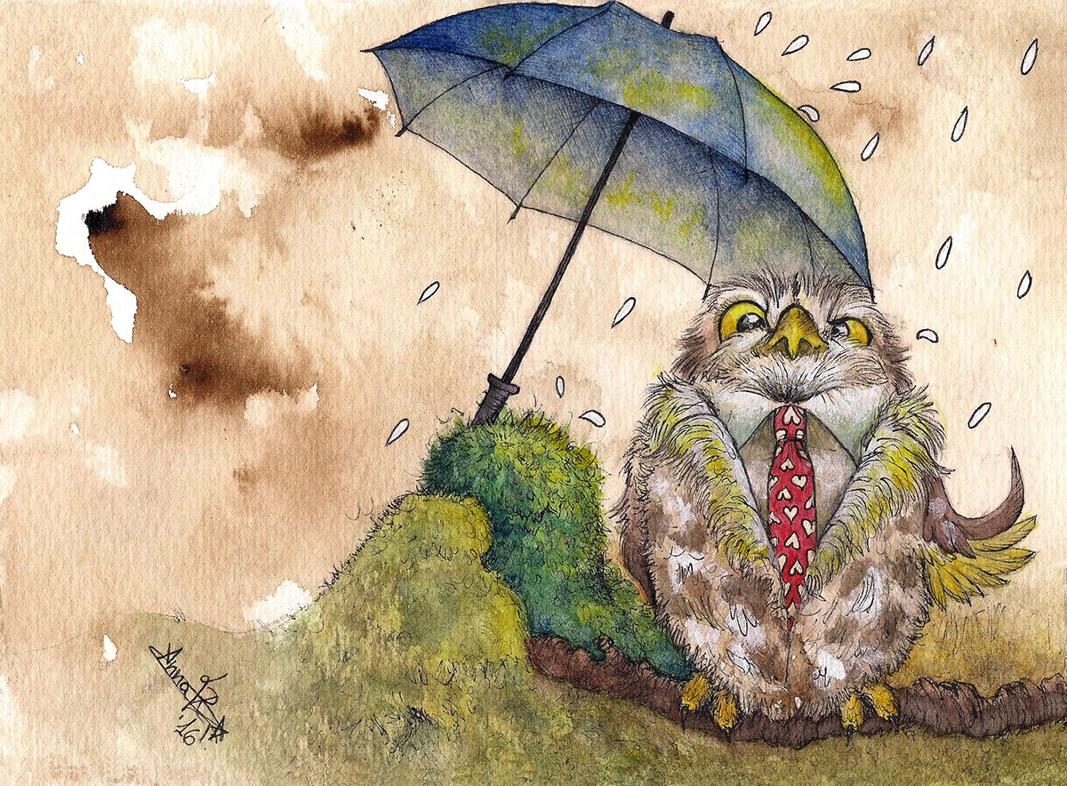 anniversary owl fauna animal bird rapaz paragua lluvia setas rain